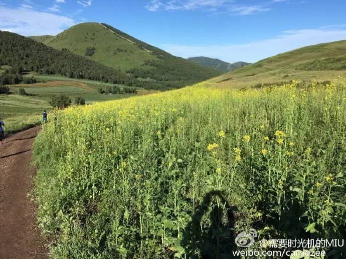 马拉松周报_马拉松比赛周记_马拉松的周记怎么写