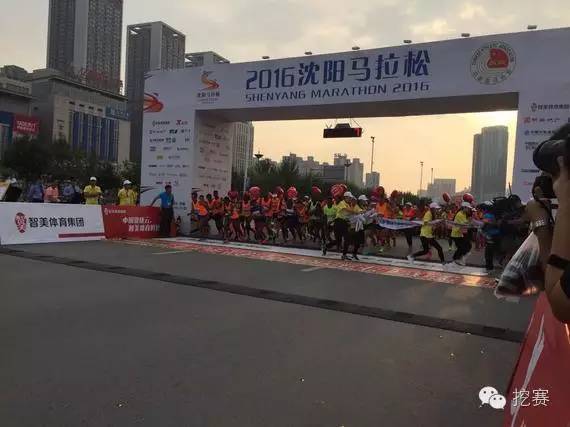 马拉松周报_马拉松周训练计划表_马拉松比赛周计划