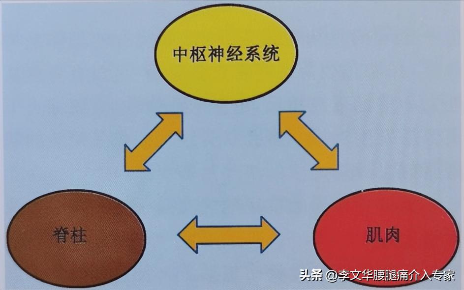直腿抬高运动抬高角度_高抬腿运动腿会粗么_直腿抬高运动