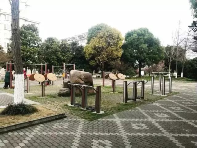 器材健身和徒手健身_器材健身的好处_健身器材吧