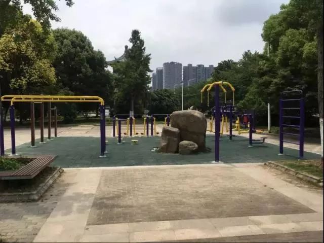 器材健身的好处_器材健身和徒手健身_健身器材吧
