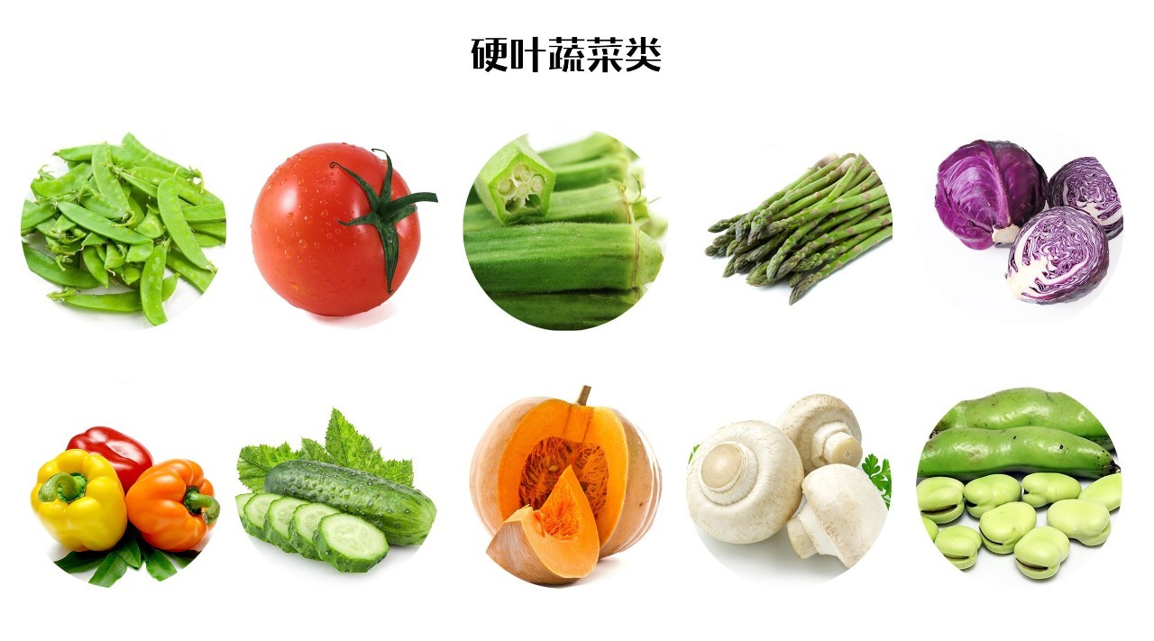 健身器材_顿健身_健身教练