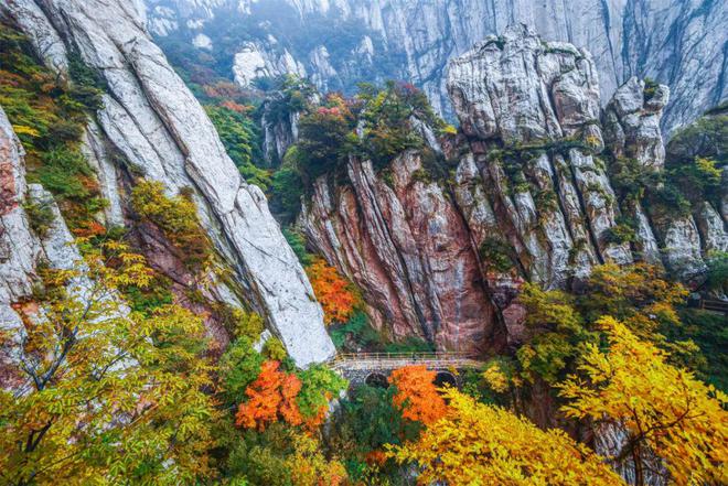 嵩阳运动地质报告_嵩阳运动剖面图_嵩阳运动