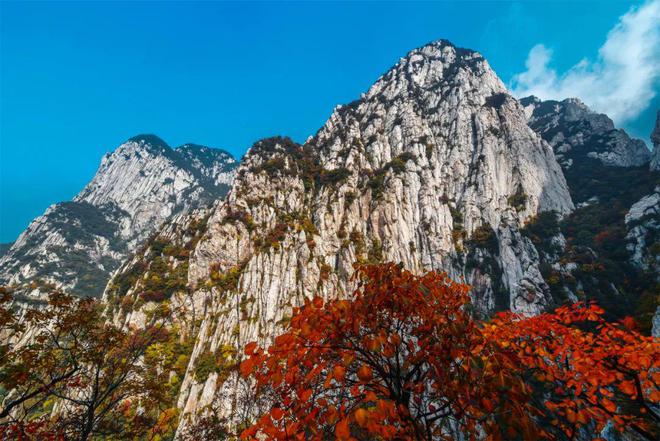 嵩阳运动剖面图_嵩阳运动地质报告_嵩阳运动
