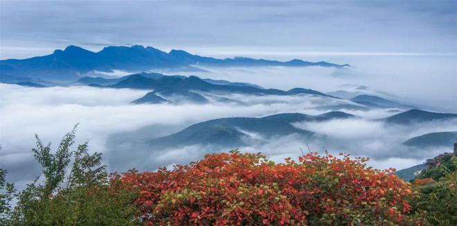 嵩阳运动地质报告_嵩阳运动_嵩阳运动剖面图