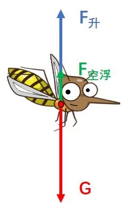 层流运动_层流运动名词解释_层流运动和湍流运动