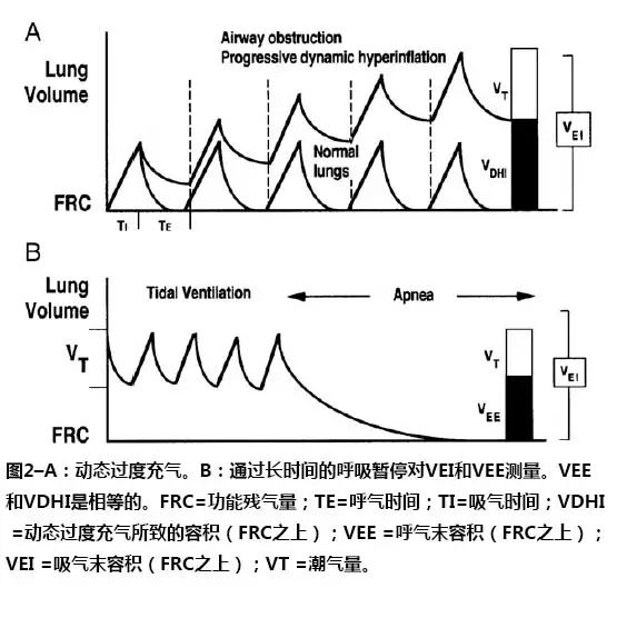 层流运动名词解释_层流的运动方式_层流运动